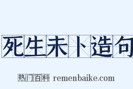 死生未卜造句是什么意思的图片